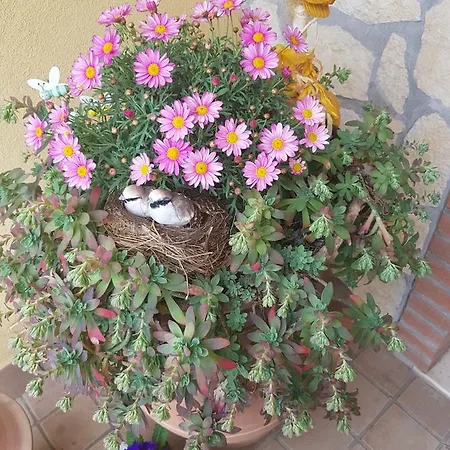 Mamma Rosa Bed & Breakfast