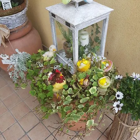 Bed & Breakfast Mamma Rosa *